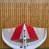Vayu Aura 3M wing