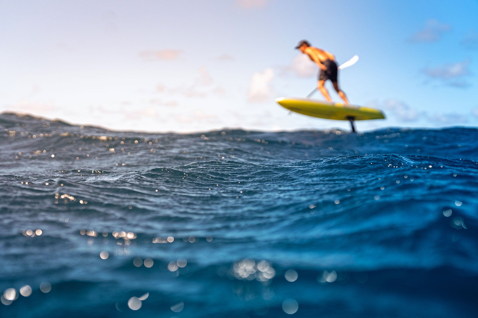 surffoil webshop